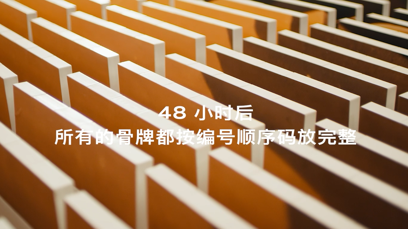 “沙漠多米諾”致敬RS Q e-tron與奧迪車隊(duì)